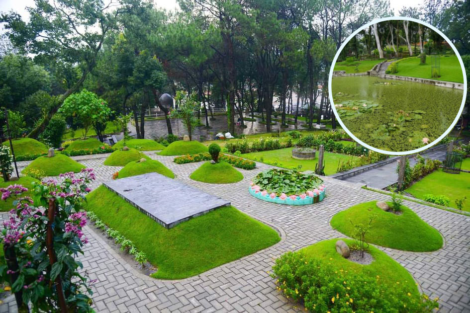 Bankali Garden
